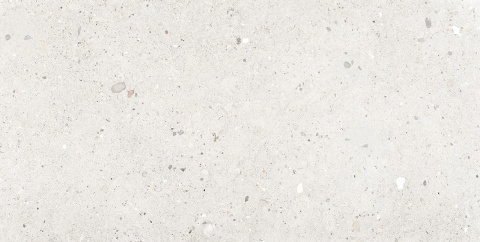 Ego Avorio Nat. Rett. 60x120