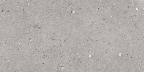 Ego Grigio Nat. Rett. 60x120