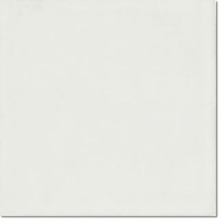 Evolution Blanco Mate 15x15