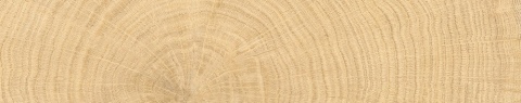 W Circles Oak Brick Nat. 5,3x30