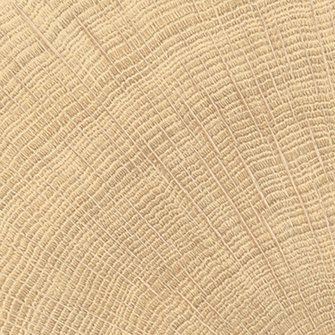 W Circles Oak Nat. 10x10