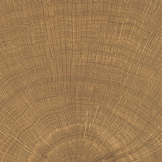 W Circles Walnut Nat. 10x10