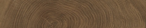 W Circles Wenge Brick Nat. 5,3x30