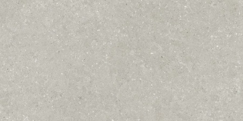 Wild HWD 05 Grey Rett. 60x120