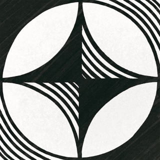 COMPASS B&W 20X20 22123