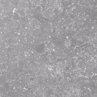 CORALSTONE GREY 20X20 23570