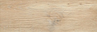 P-N-ALR03 ALBERON BEŻ NAT 20x60 g.1 CG