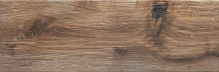 P-N-ALR04 ALBERON 04 BRĄZ NAT 20x60 g.1 CG