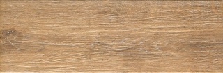 P-N-ALR05 ALBERON UMBRA NAT 20x60 g.1 CG