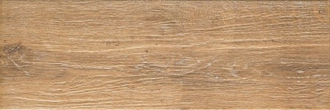P-N-ALR05 ALBERON UMBRA NAT 20x60 g.1 CG