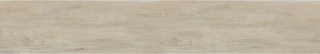 Pp SCANDINAVIA CREAM Rett.20x120 g.1 SG PROMOCJA