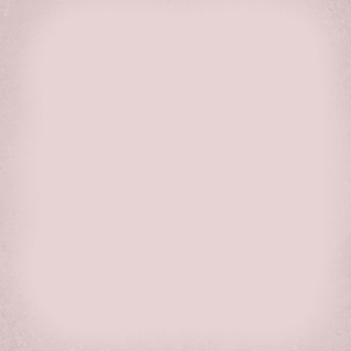 1900 ROSA 20X20 11I4