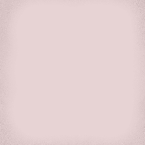 1900 ROSA 20X20 11I4