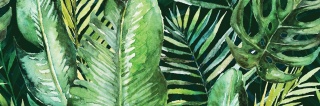 CENTRO BRAGA TROPIC A RETT. 25X75 G.1 CK
