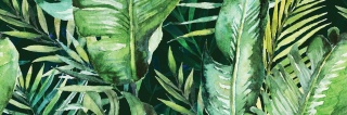 CENTRO BRAGA TROPIC B RETT. 25X75 G.1 CK
