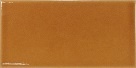 EVOLUTION AMBER 7,5X15 22466