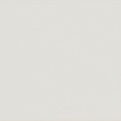 EVOLUTION GRIS CLARO BRILLO 15X15 20957