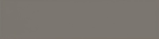 EVOLUTION GRIS OSCURO BRILLO 10X40 20901