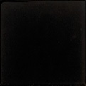 EVOLUTION NEGRO BRILLO 15X15 20201