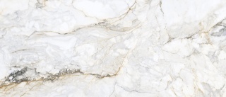 PISA GOLD LUX PUL 60x120 G.1 PS