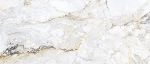 PISA GOLD LUX PUL 60x120 G.1 PS