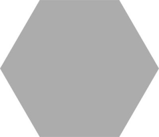 Pp HEX BASIC SILVER 25 22X25 G1 CO wyprz.