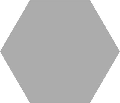 Pp HEX BASIC SILVER 25 22X25 G1 CO wyprz.