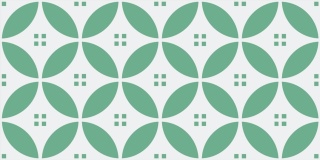REMES OLIVA 10X20 3Q9A G1 VV