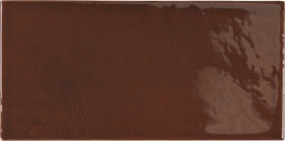 VILLAGE WALNUT BROWN 6,5X13,2 G1 EQ 25627