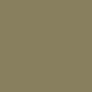 BAUHOME GRÜN 20X20 27679