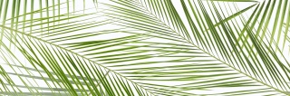 CENTRO BRENNERO TROPIC INSERTO RETT 2x25x75 g.1 CK