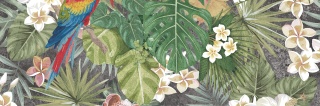 CENTRO JUNGLE-5 RETT. 30x90 G.1 BC PROMOCJA