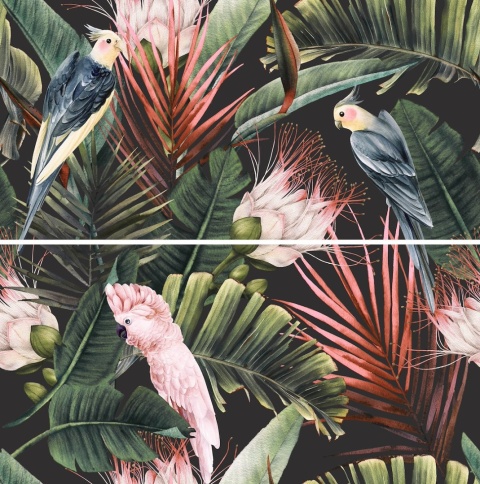 CENTRO PARROTS DECOR RETT. 2x30x60 G.1 CC