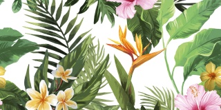 CENTRO TROPICAL FLOWERS RETT. 2x30x60 g.1 CK