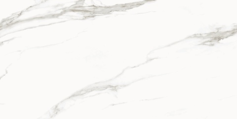 FORUM BLANCO 60x120 PULIDO NV