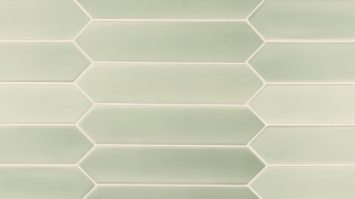 LANSE MINT 5x25 LOS 27486