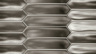 LANSE SILVER 5x25LOS 27492