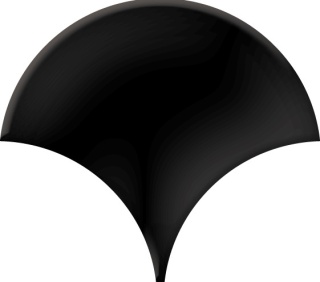 MOZAIKA BLACK SCALE MOSAIC 31,5x30 G.1 BC