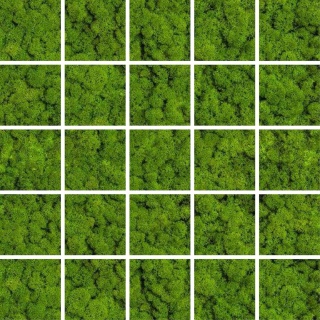 MOZAIKA GREEN MOSS 24,8x24,8 G.1 CK