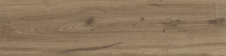 Pp DUBLIN BROWN / DUNEDIN 15,5X62 G.1 SG PROMOCJA