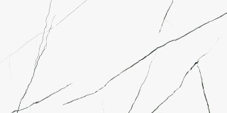 Pp PRESTIGE POLER 60x120 / SGR12-1 G.1 SG PRO