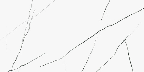Pp PRESTIGE POLER 60x120 / SGR12-1 G.1 SG PRO