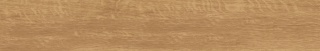 Pp SGR33-1 / CLASSICA BEIGE 9,2x60 g.1 SG PROM