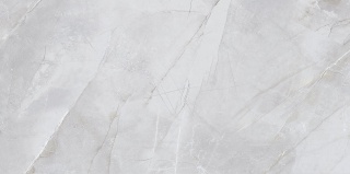 Pś CCR69-1 SERGIA GREY RETT. 30x60 G.1 CC