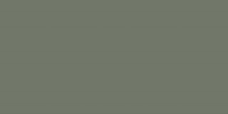Pś CKR19-1 OLIVE RETT. 30x60 g.1 CK