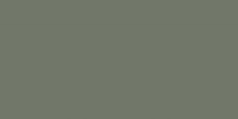Pś CKR19-1 OLIVE RETT. 30x60 g.1 CK