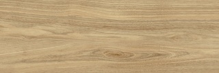 Pś DREAMWOOD GLOSSY RETT. 25x75 G.1 BC