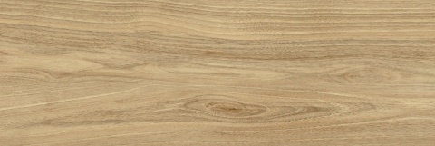 Pś DREAMWOOD GLOSSY RETT. 25x75 G.1 BC