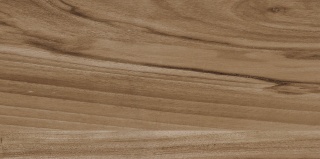 Pś EMO WOOD BROWN RETT. 30x60 G.1 CC