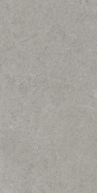 Pś EVERTON GREIGE 20x40 g.1 (BM) CK